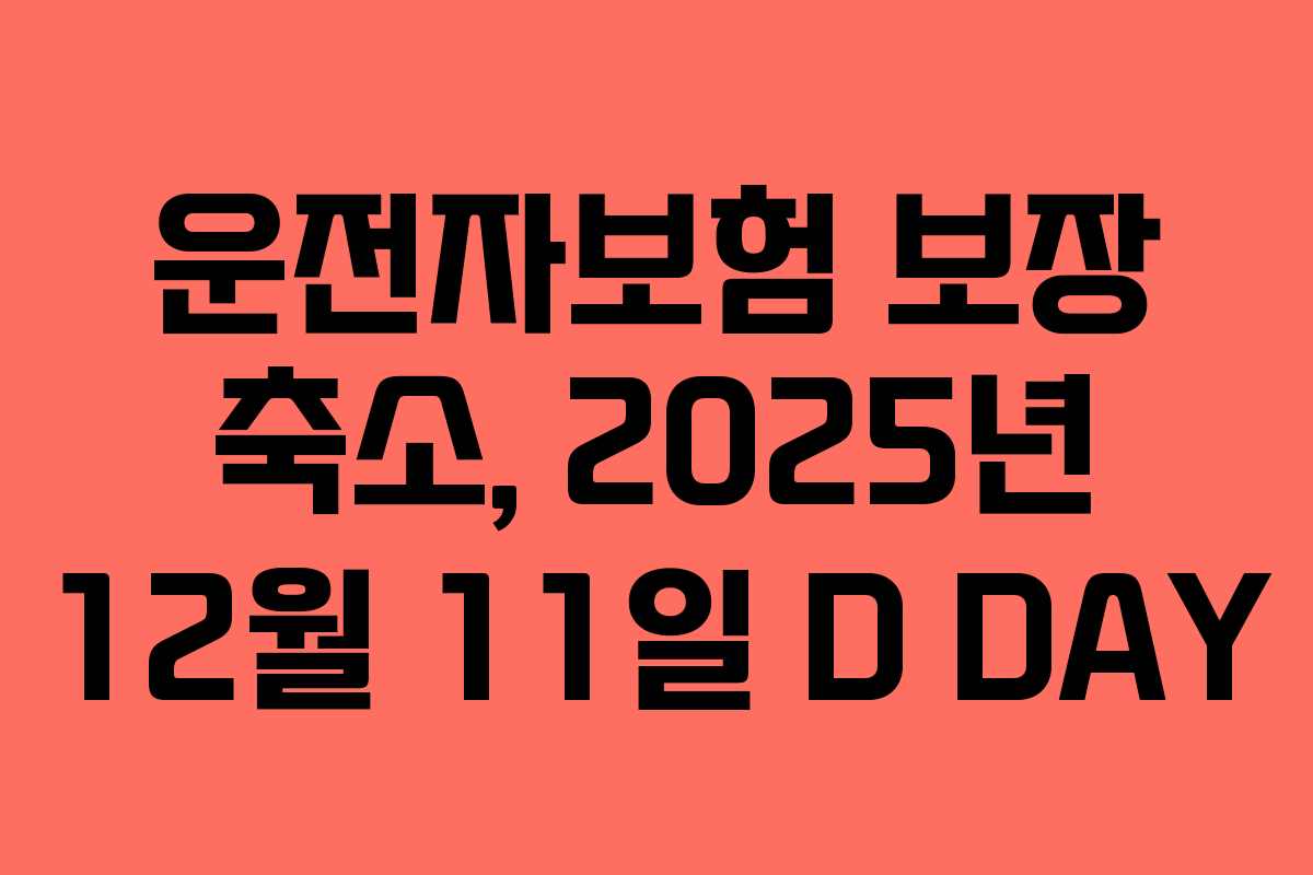 운전자보험 보장 축소, 2025년 12월 11일 D DAY