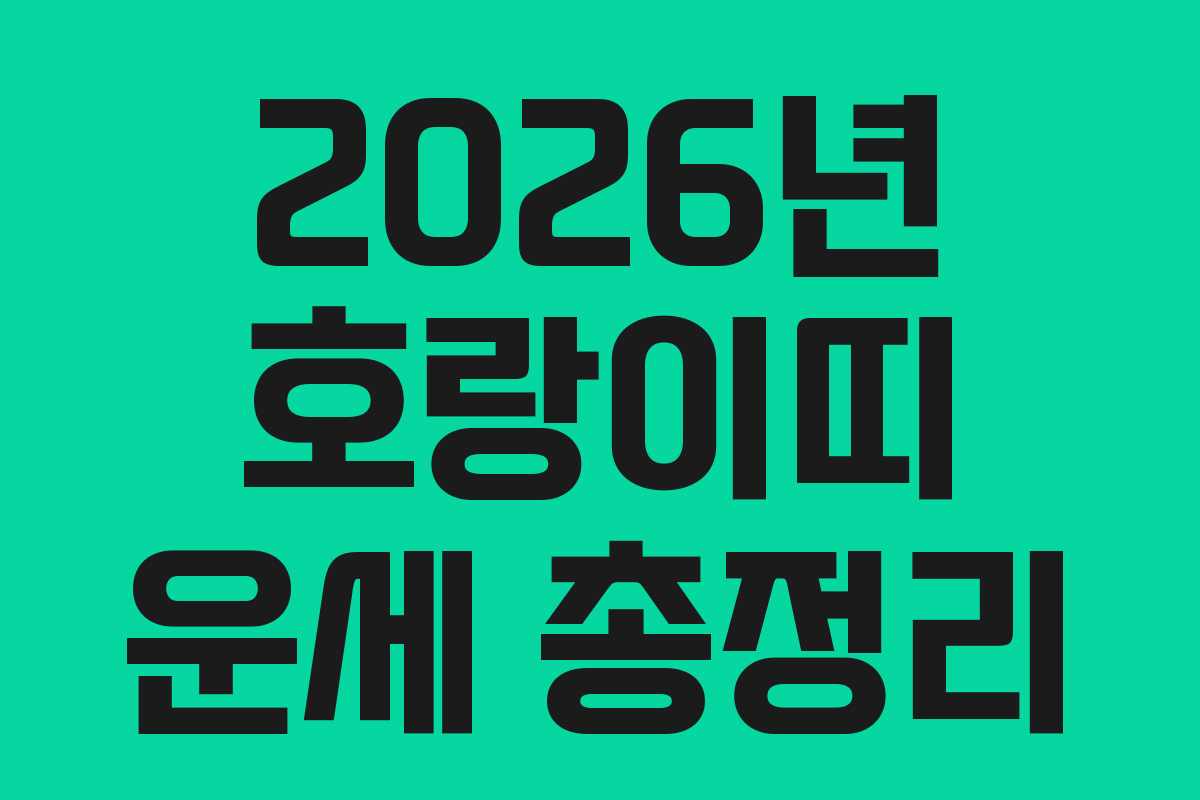 2026년 호랑이띠 운세 총정리