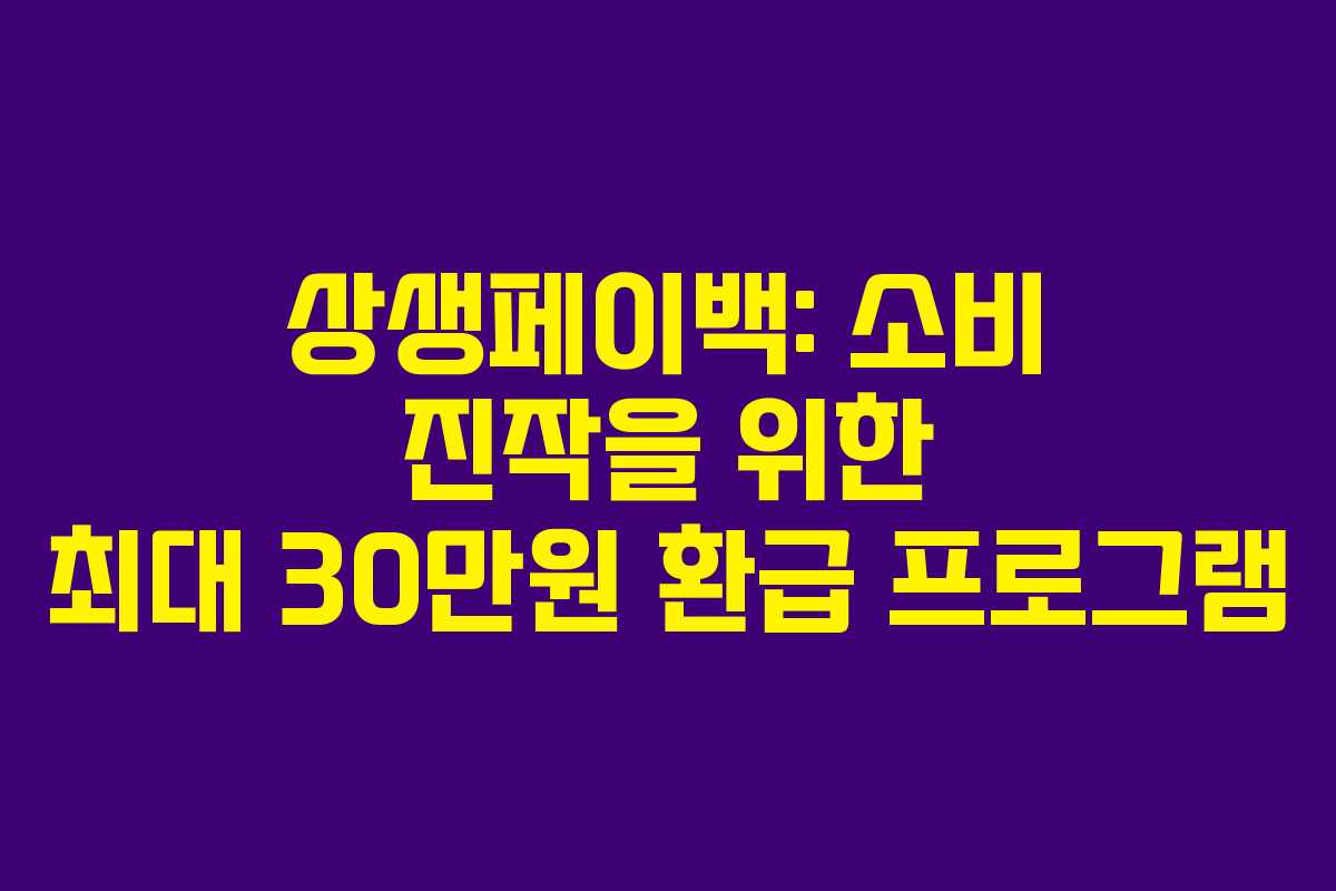 상생페이백: 소비 진작을 위한 최대 30만원 환급 프로그램