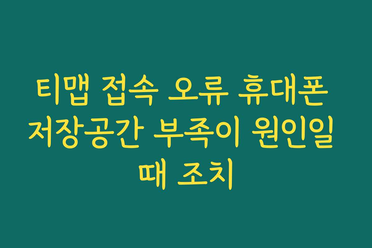 티맵 접속 오류 휴대폰 저장공간 부족이 원인일 때 조치