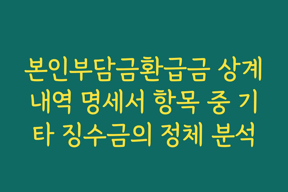 본인부담금환급금 상계내역 명세서 항목 중 기타 징수금의 정체 분석