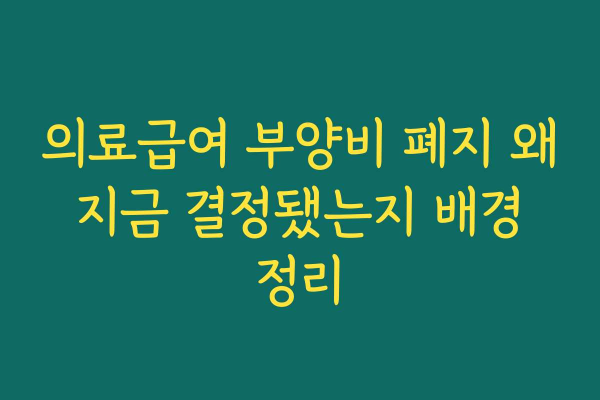 의료급여 부양비 폐지 왜 지금 결정됐는지 배경 정리