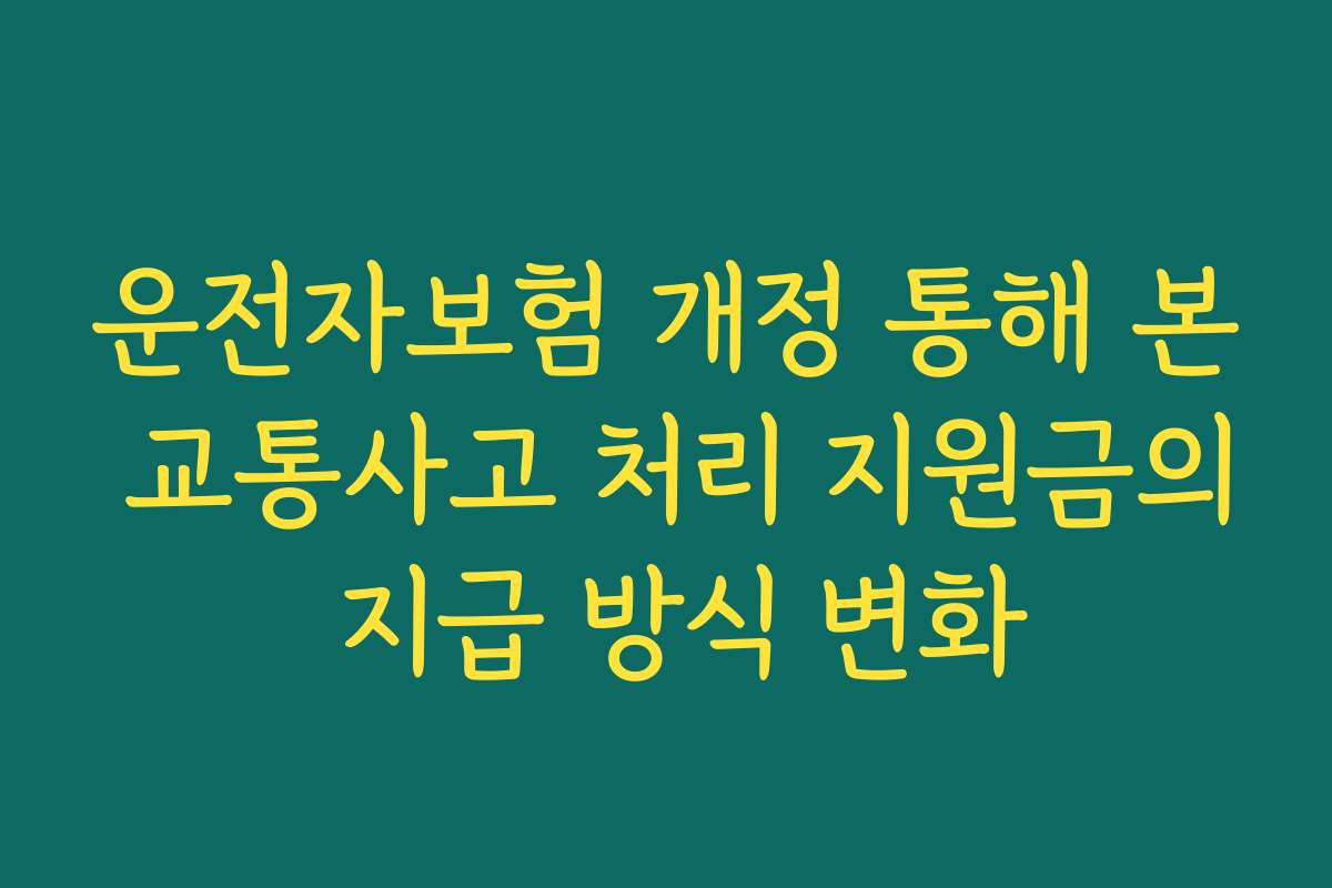 운전자보험 개정 통해 본 교통사고 처리 지원금의 지급 방식 변화
