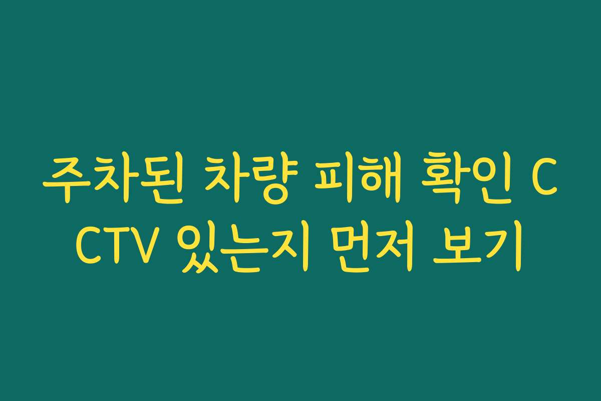 주차된 차량 피해 확인 CCTV 있는지 먼저 보기