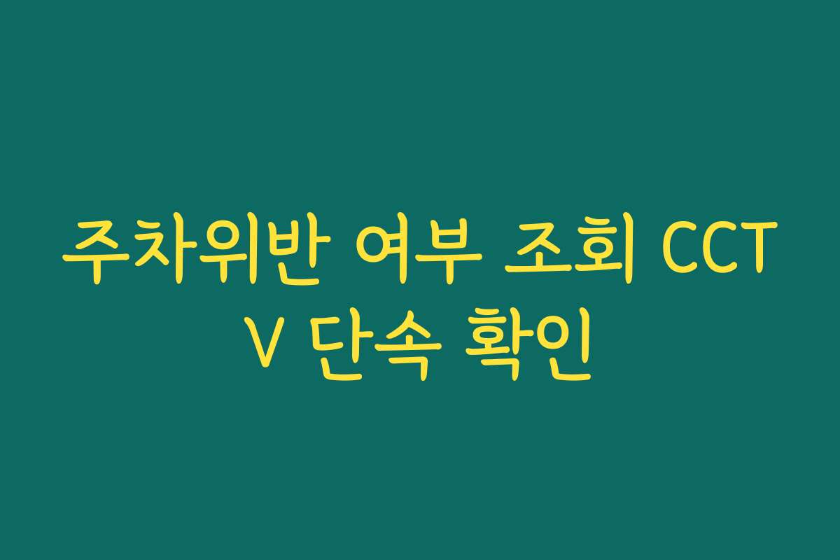 주차위반 여부 조회 CCTV 단속 확인