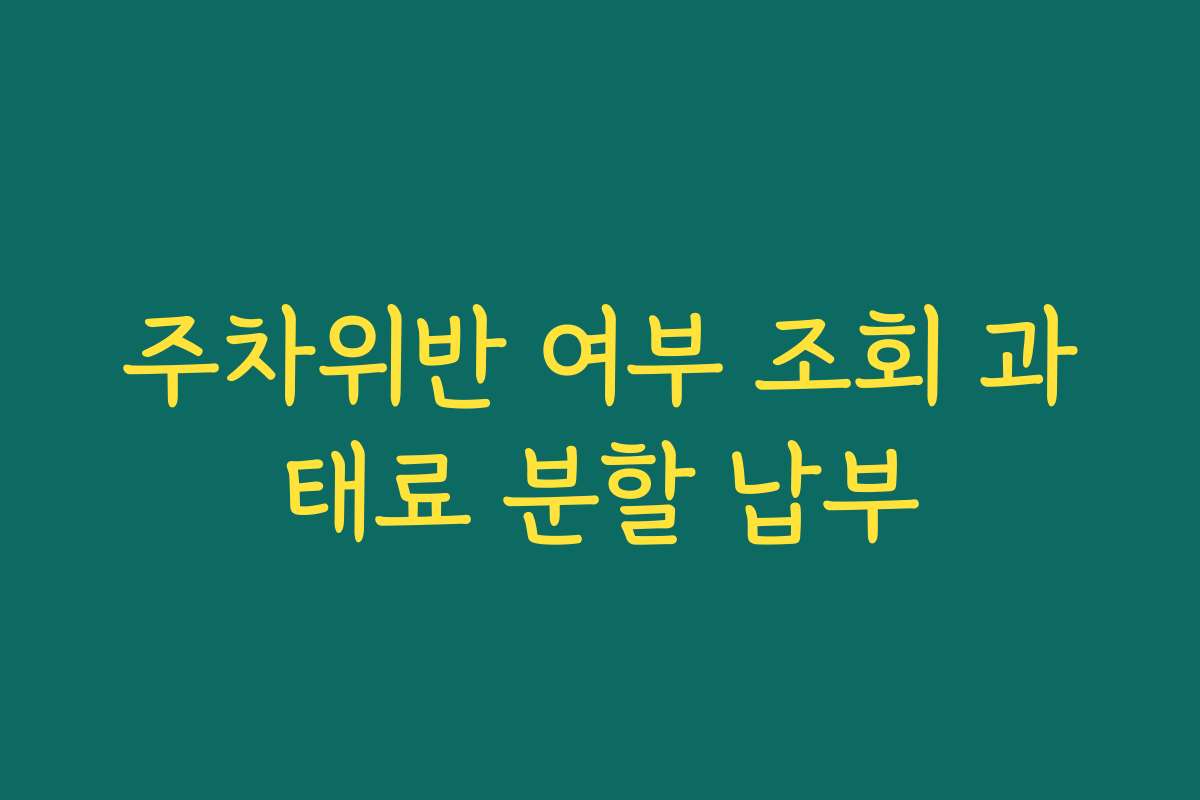 주차위반 여부 조회 과태료 분할 납부