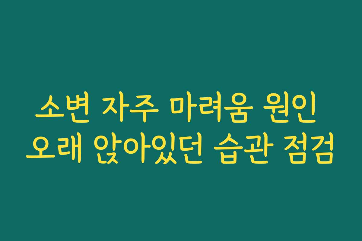 소변 자주 마려움 원인 오래 앉아있던 습관 점검