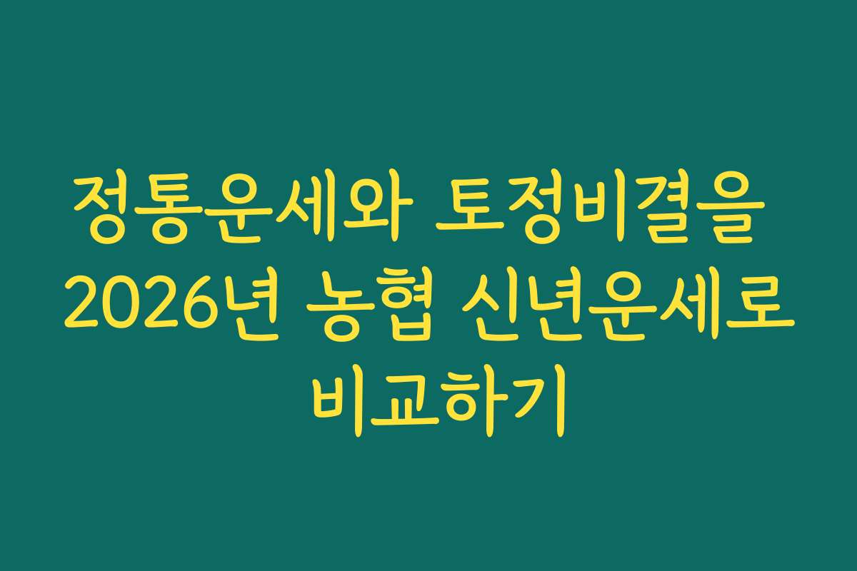 정통운세와 토정비결을 2026년 농협 신년운세로 비교하기