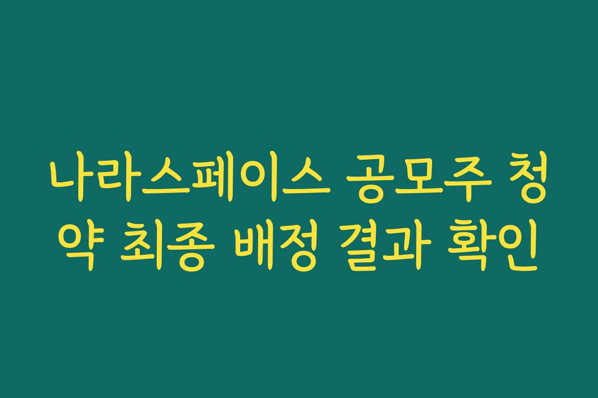 나라스페이스 공모주 청약 최종 배정 결과 확인