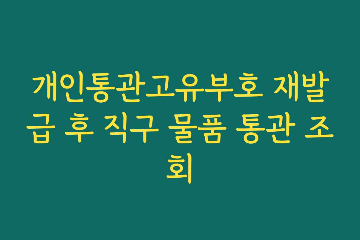 개인통관고유부호 재발급 후 직구 물품 통관 조회