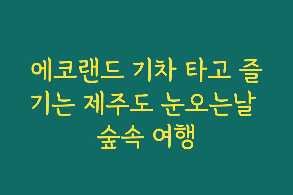 에코랜드 기차 타고 즐기는 제주도 눈오는날 숲속 여행