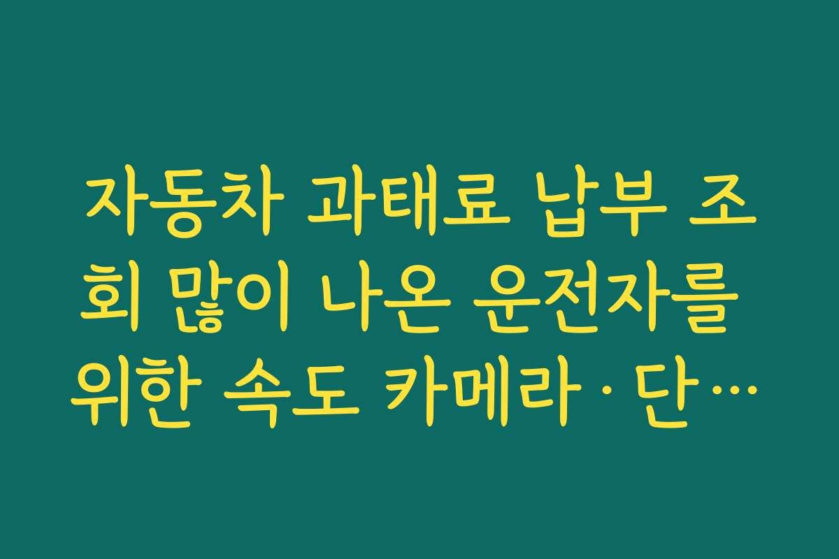 자동차 과태료 납부 조회 많이 나온 운전자를 위한 속도 카메라·단속구간 표시 활용법