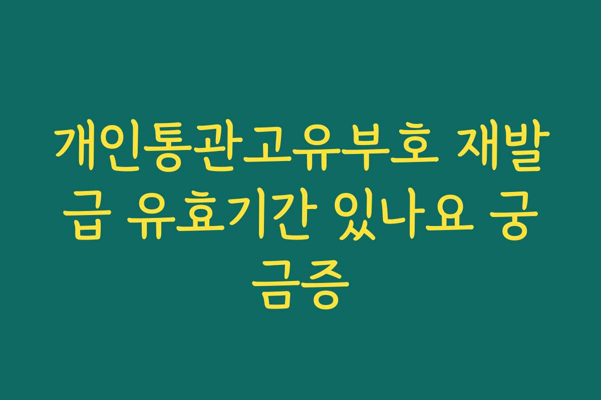 개인통관고유부호 재발급 유효기간 있나요 궁금증