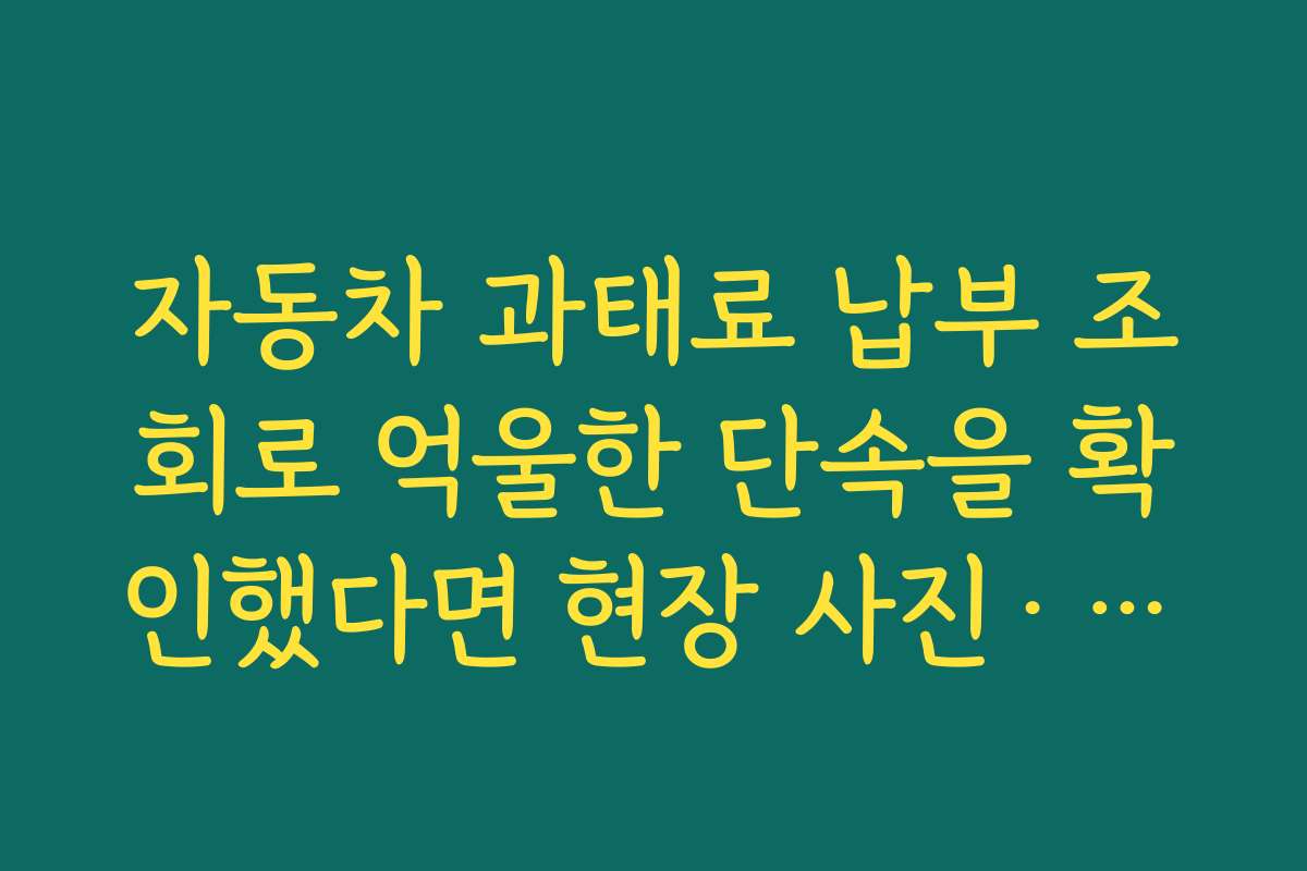 자동차 과태료 납부 조회로 억울한 단속을 확인했다면 현장 사진·동선 기록을 남겨야 하는 이유