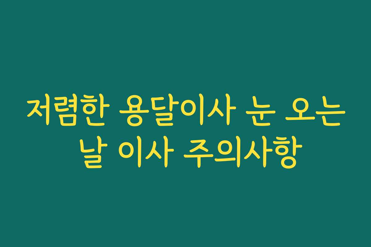 저렴한 용달이사 눈 오는 날 이사 주의사항