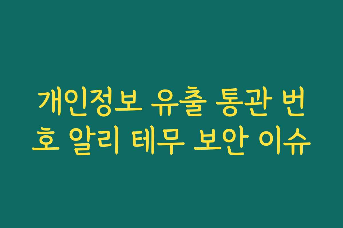 개인정보 유출 통관 번호 알리 테무 보안 이슈