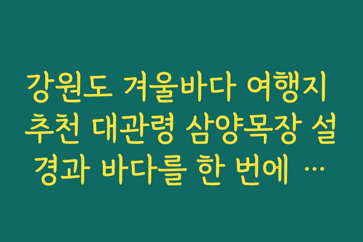 강원도 겨울바다 여행지 추천 대관령 삼양목장 설경과 바다를 한 번에 보는 일정 짜기