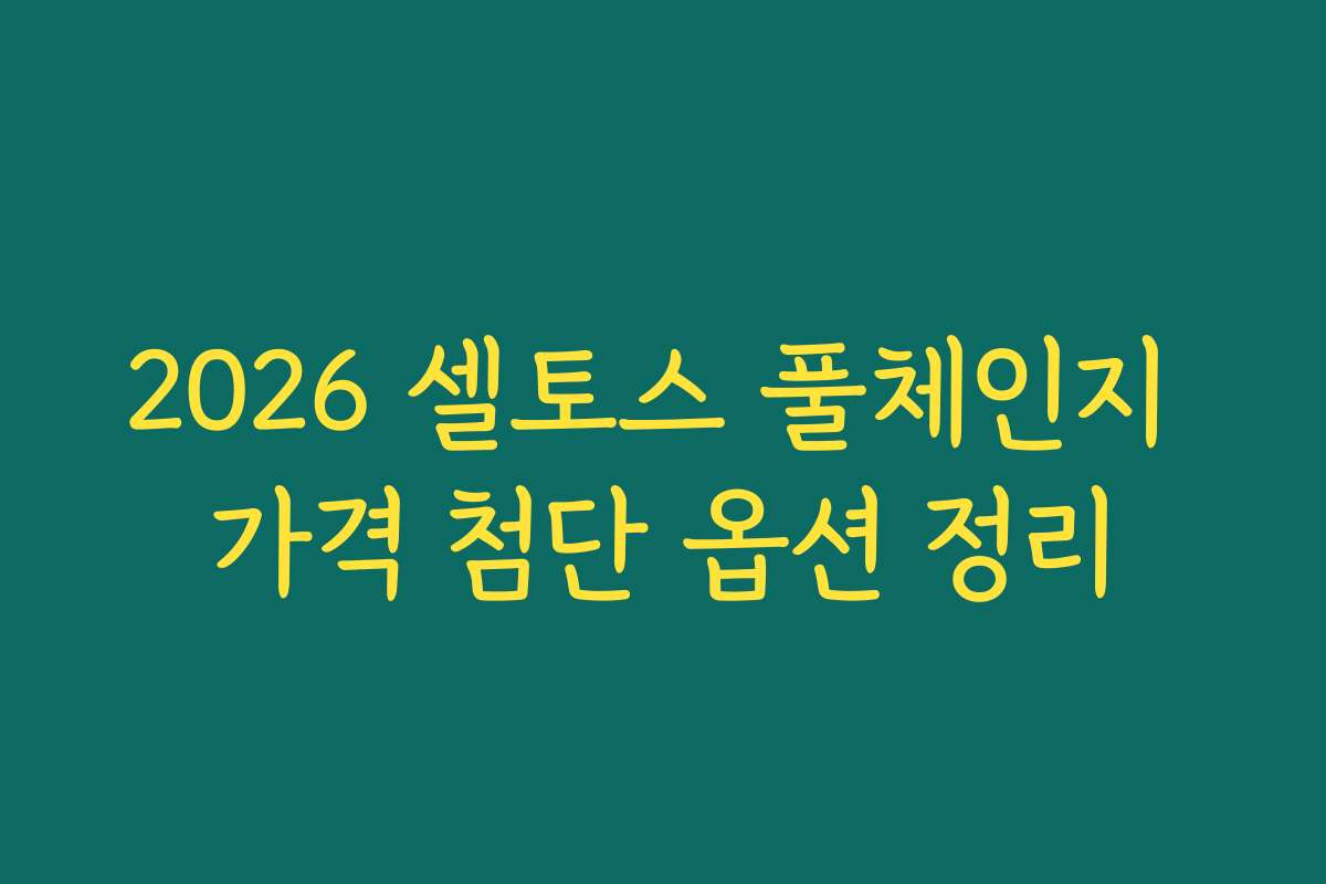 2026 셀토스 풀체인지 가격 첨단 옵션 정리