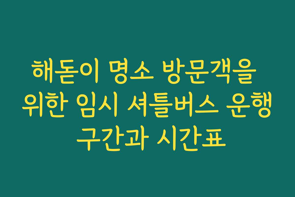 해돋이 명소 방문객을 위한 임시 셔틀버스 운행 구간과 시간표
