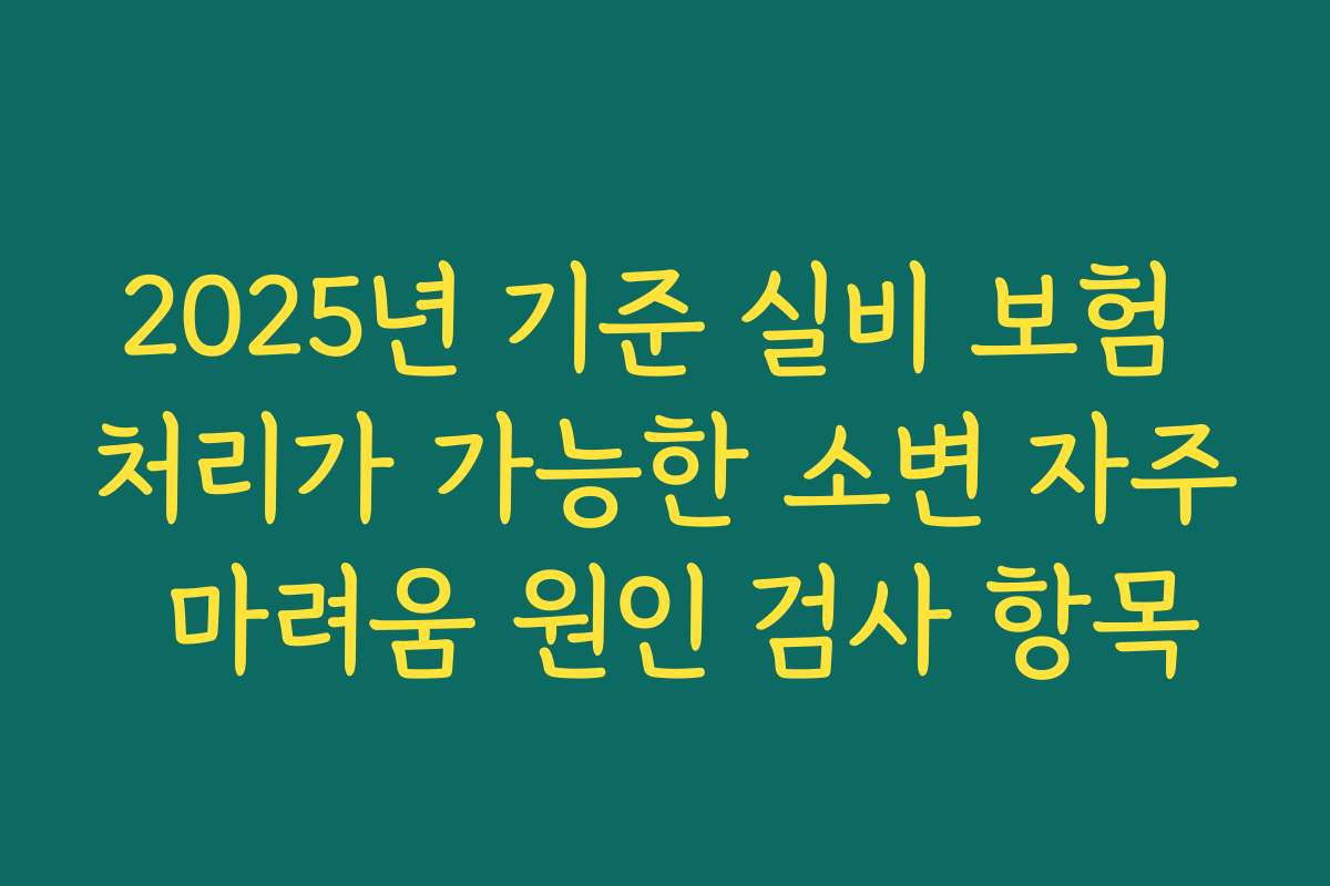2025년 기준 실비 보험 처리가 가능한 소변 자주 마려움 원인 검사 항목