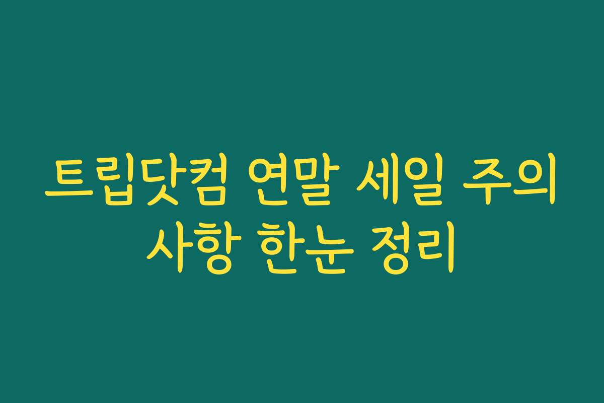 트립닷컴 연말 세일 주의사항 한눈 정리