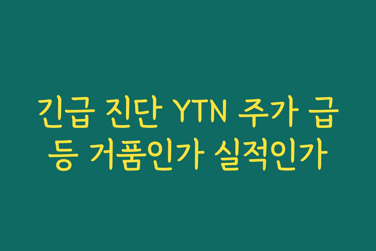 긴급 진단 YTN 주가 급등 거품인가 실적인가