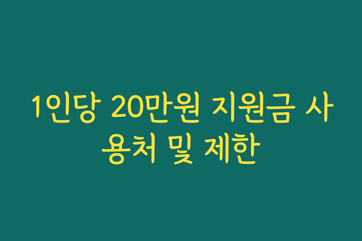1인당 20만원 지원금 사용처 및 제한