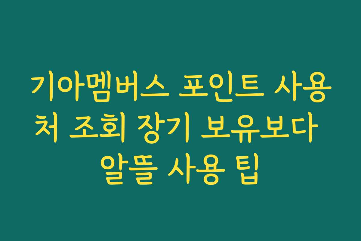 기아멤버스 포인트 사용처 조회 장기 보유보다 알뜰 사용 팁