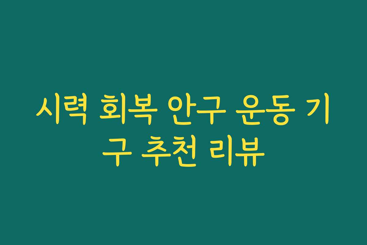 시력 회복 안구 운동 기구 추천 리뷰