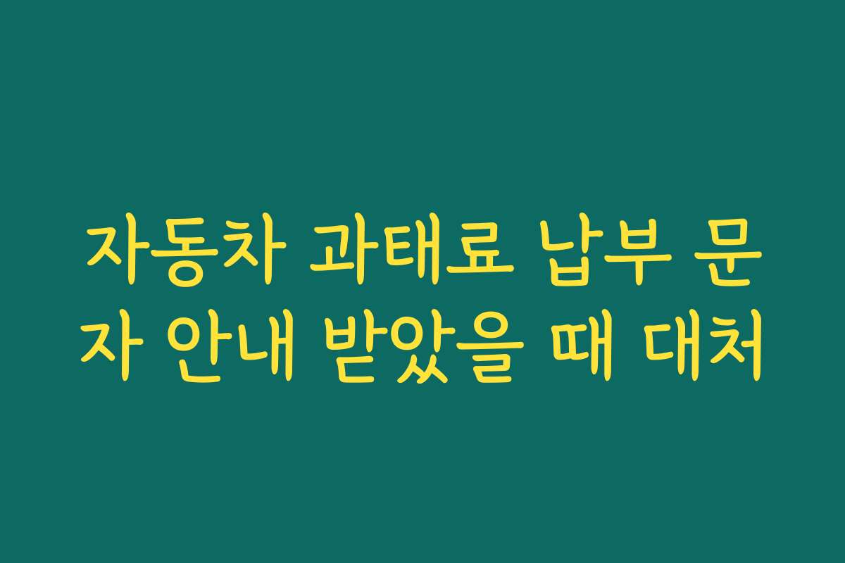 자동차 과태료 납부 문자 안내 받았을 때 대처