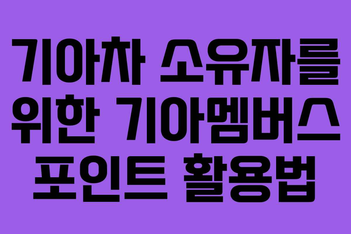 기아차 소유자를 위한 기아멤버스 포인트 활용법