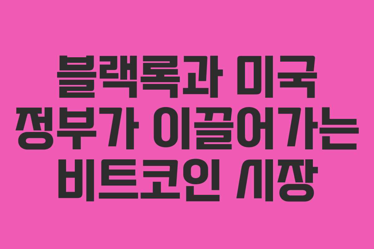 블랙록과 미국 정부가 이끌어가는 비트코인 시장