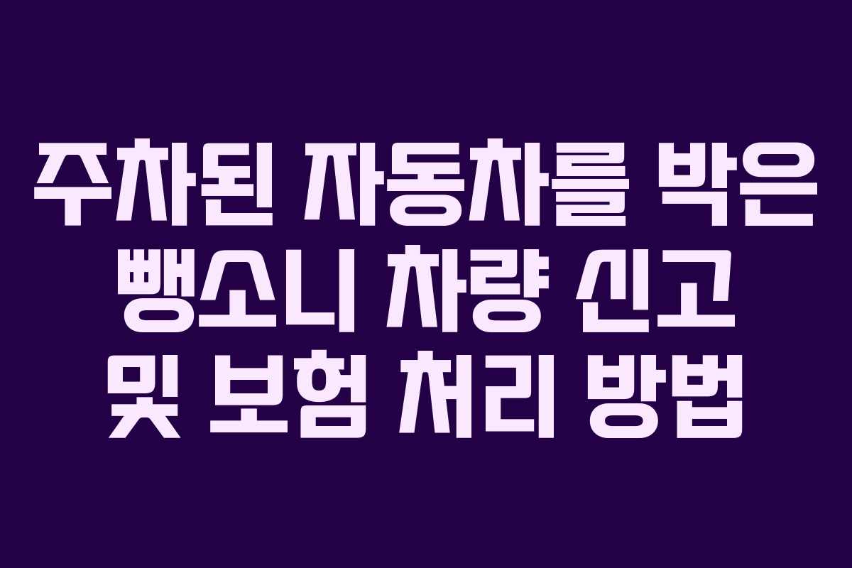주차된 자동차를 박은 뺑소니 차량 신고 및 보험 처리 방법