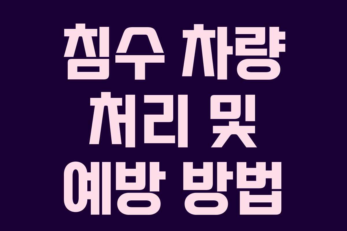 침수 차량 처리 및 예방 방법