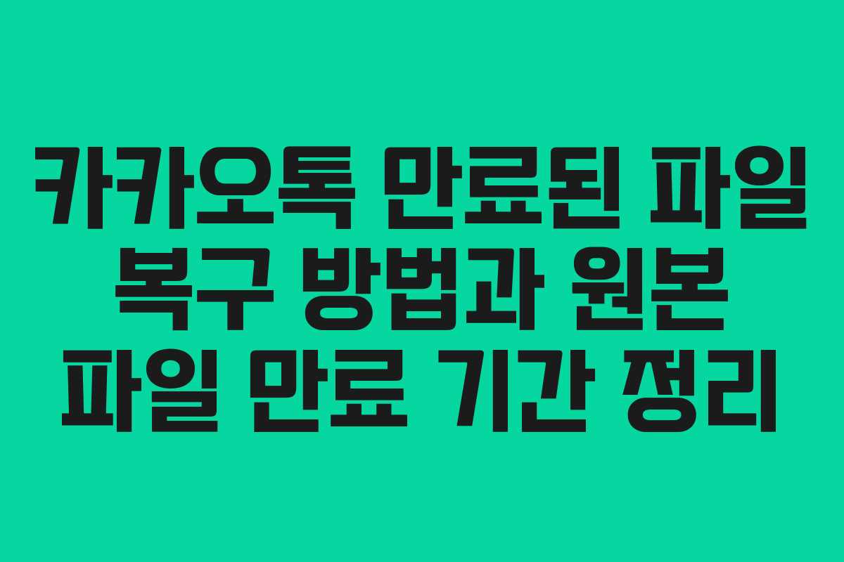 카카오톡 만료된 파일 복구 방법과 원본 파일 만료 기간 정리