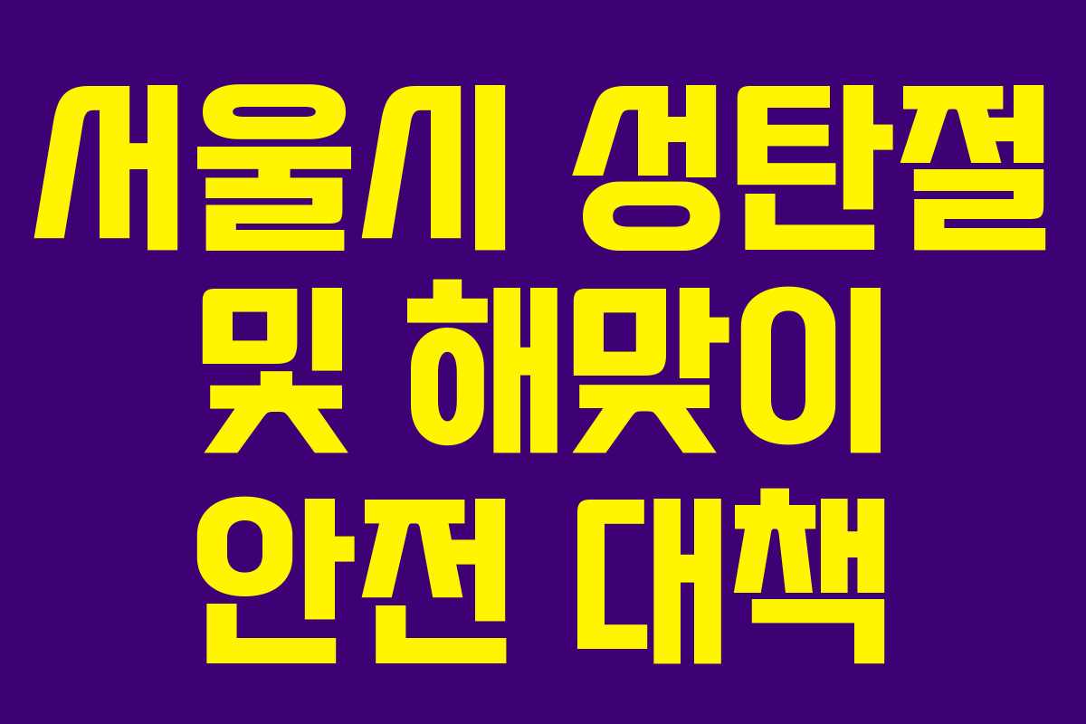 서울시 성탄절 및 해맞이 안전 대책