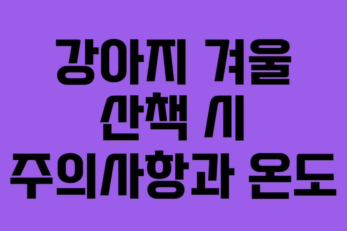 강아지 겨울 산책 시 주의사항과 온도