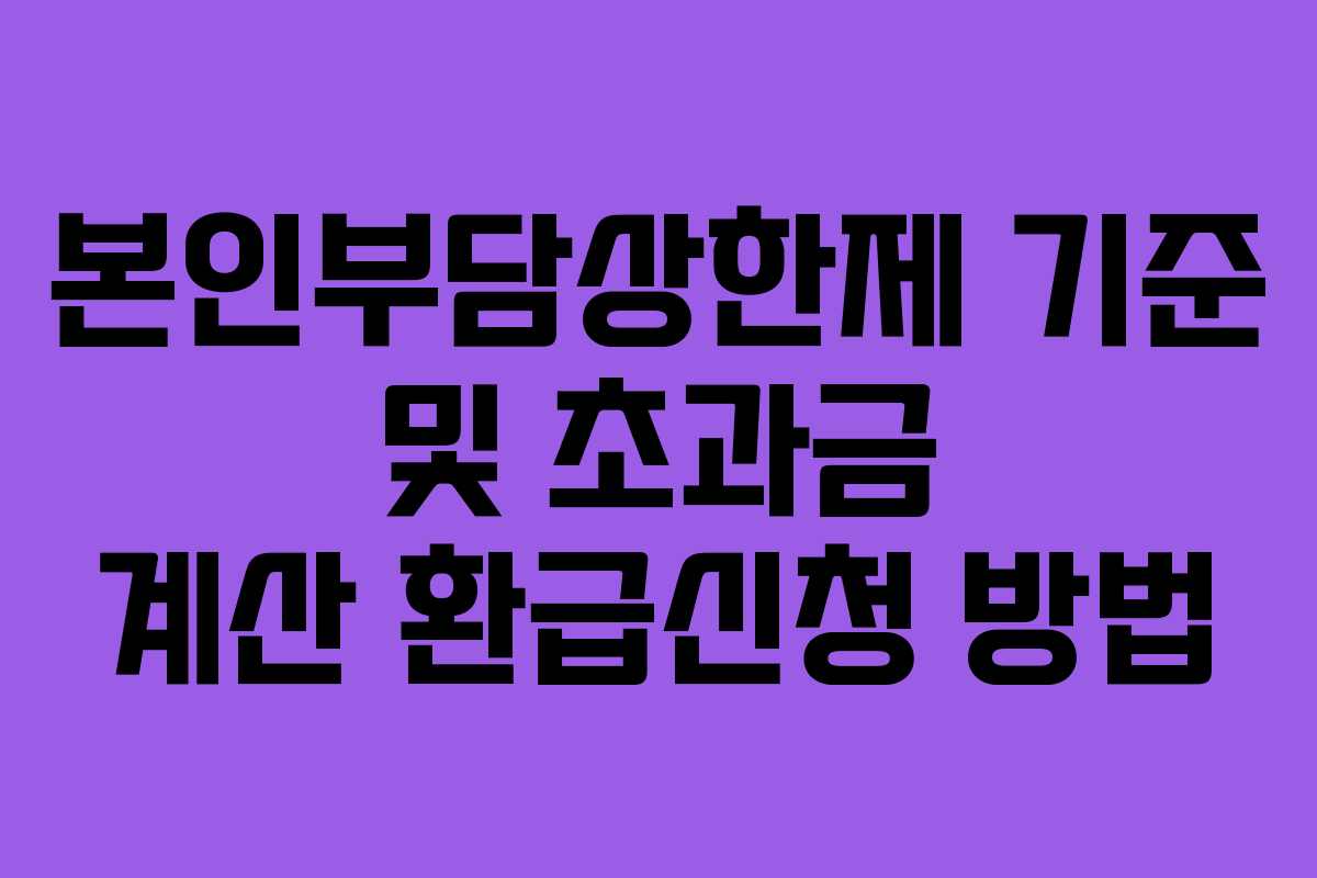 본인부담상한제 기준 및 초과금 계산 환급신청 방법
