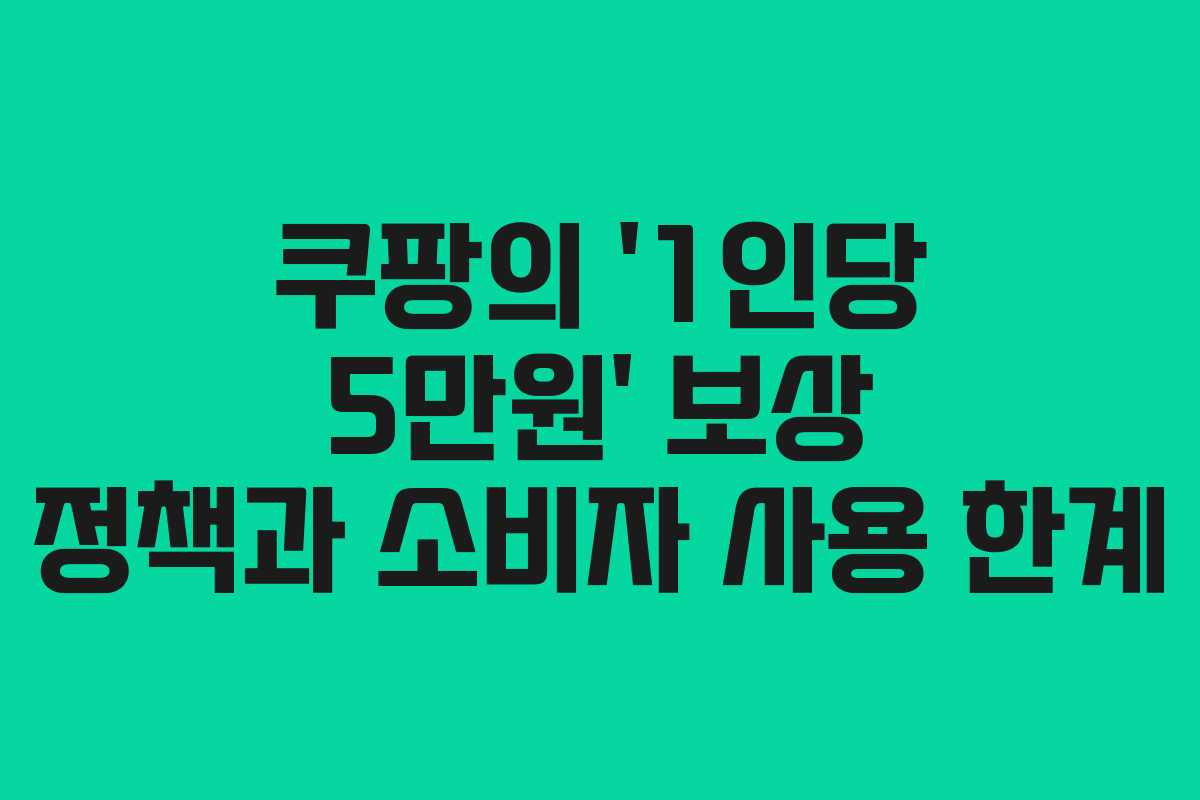 쿠팡의 &lsquo;1인당 5만원&rsquo; 보상 정책과 소비자 사용 한계