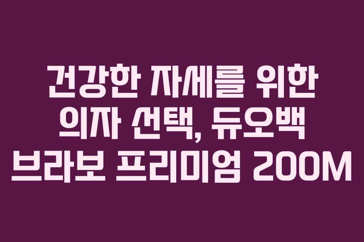 건강한 자세를 위한 의자 선택, 듀오백 브라보 프리미엄 200M