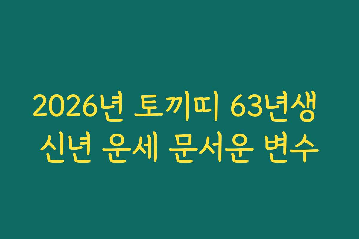 2026년 토끼띠 63년생 신년 운세 문서운 변수