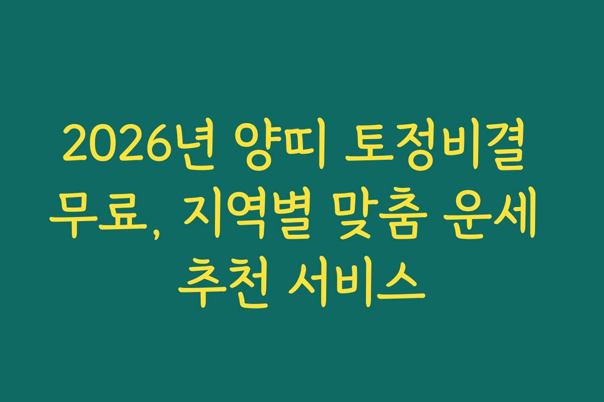 2026년 양띠 토정비결 무료, 지역별 맞춤 운세 추천 서비스