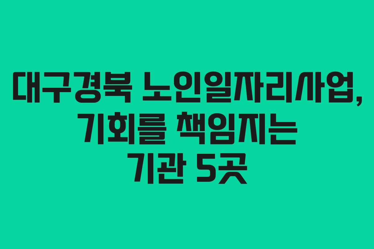 대구경북 노인일자리사업, 기회를 책임지는 기관 5곳