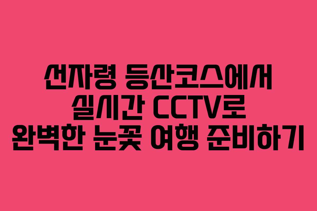 선자령 등산코스에서 실시간 CCTV로 완벽한 눈꽃 여행 준비하기