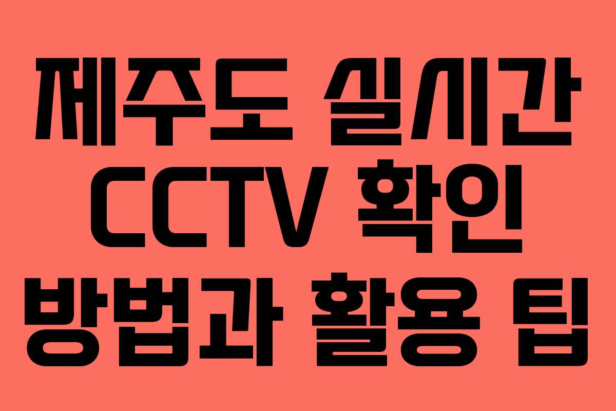 제주도 실시간 CCTV 확인 방법과 활용 팁