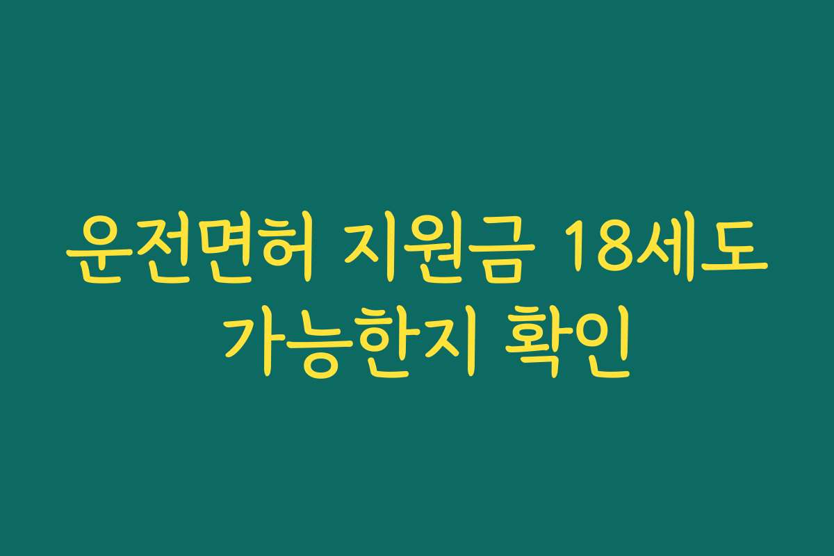 운전면허 지원금 18세도 가능한지 확인