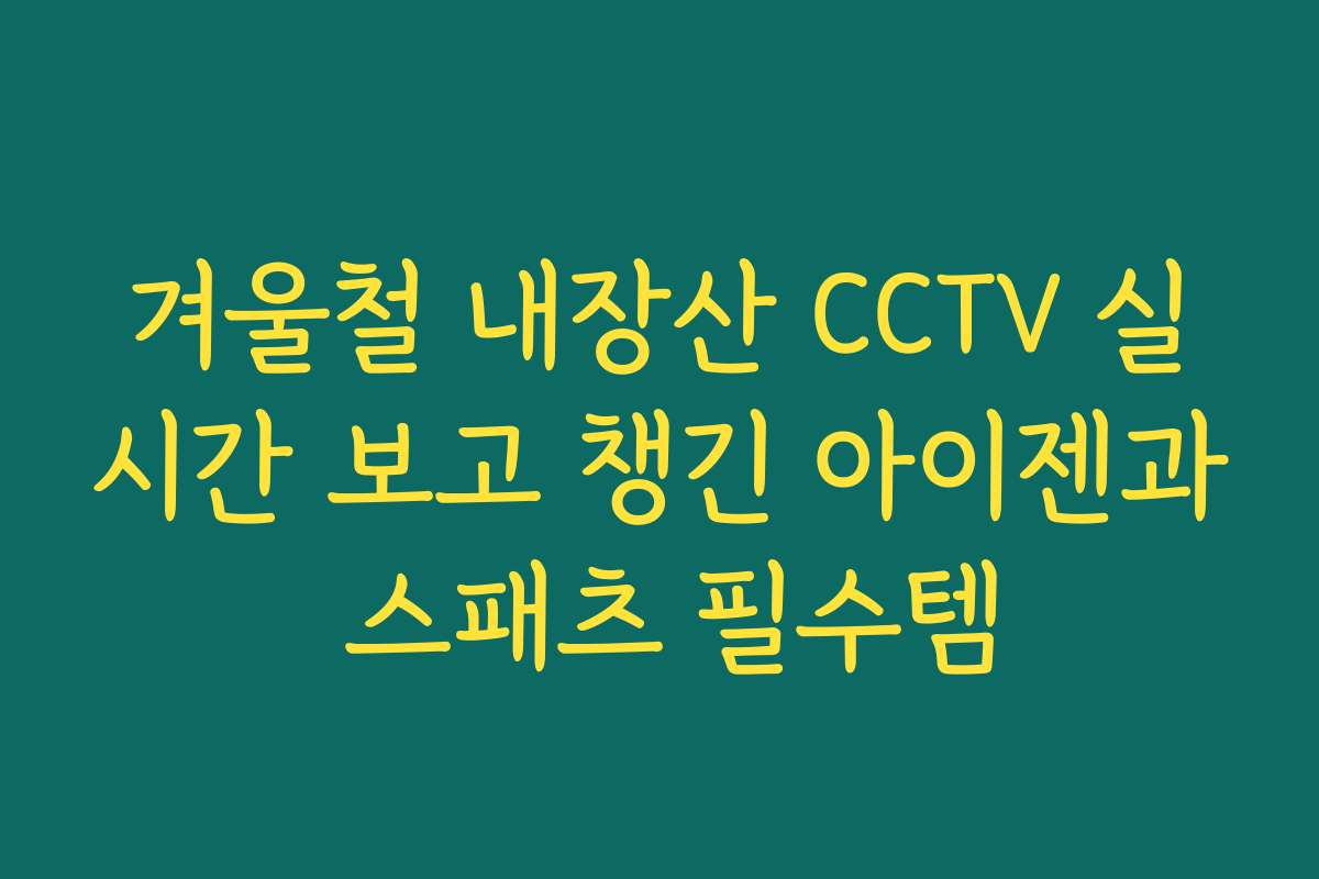 겨울철 내장산 CCTV 실시간 보고 챙긴 아이젠과 스패츠 필수템