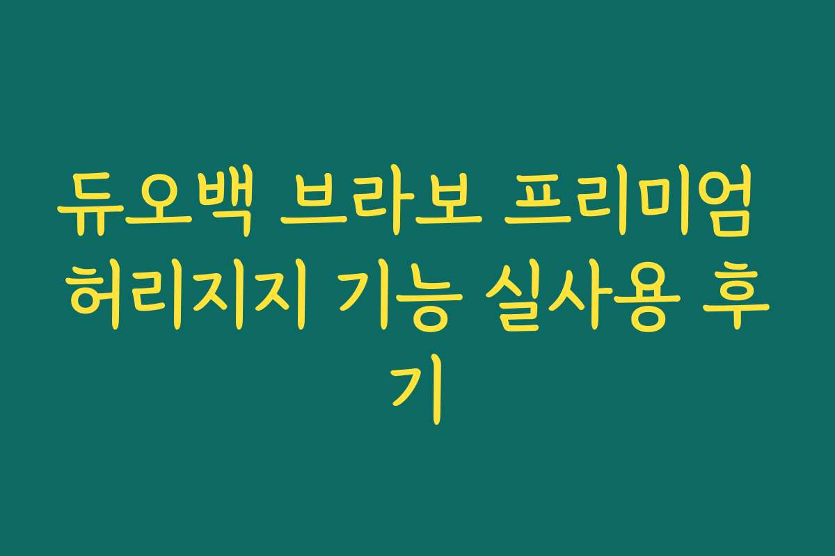 듀오백 브라보 프리미엄 허리지지 기능 실사용 후기
