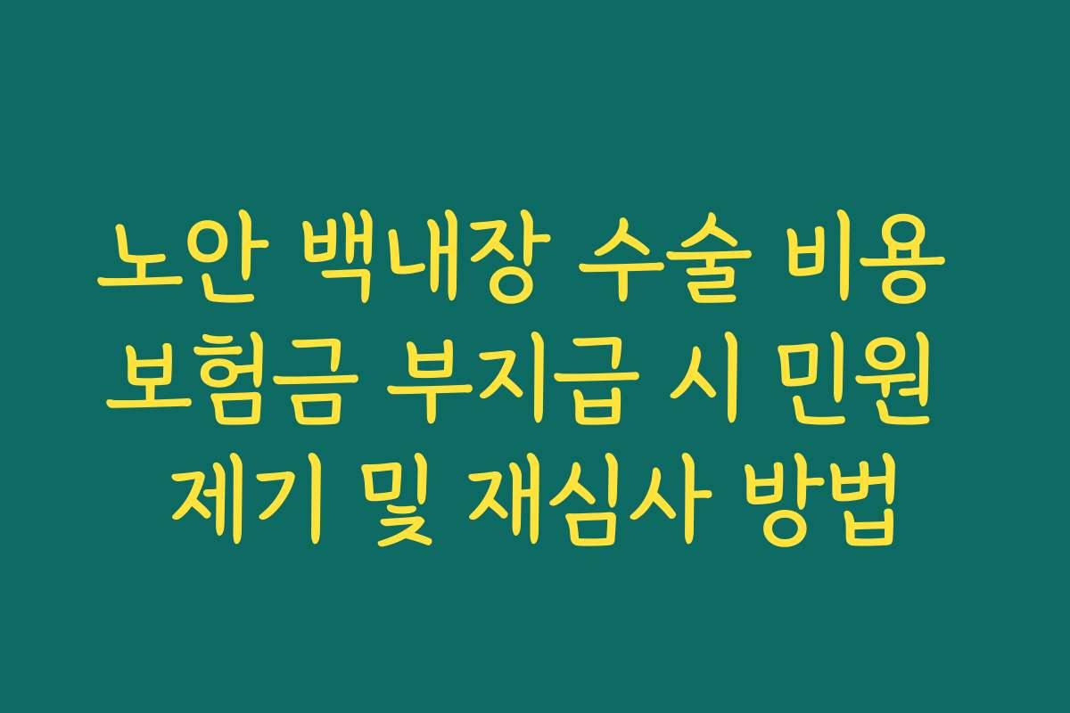 노안 백내장 수술 비용 보험금 부지급 시 민원 제기 및 재심사 방법