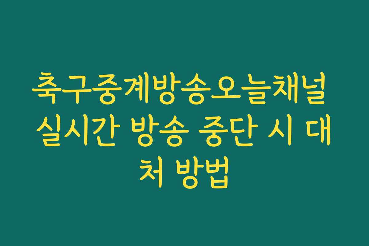 축구중계방송오늘채널 실시간 방송 중단 시 대처 방법